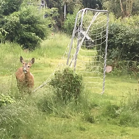 Seaside With Ocean View In Odsherred Дом отдыха Nyrup