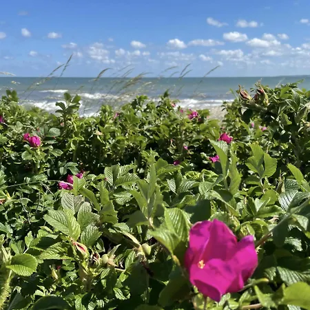 度假居 Seaside With Ocean View In Odsherred